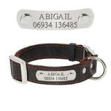 Customized Dog Collars Genuine Leather