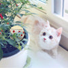 4pcs/pack Ball Cat Toy