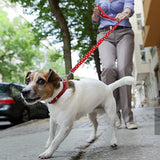 Pet Walking Dog Leash