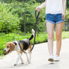 Pet Walking Dog Leash