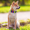 Reflective Nylon Dog Collar