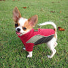 For Small Medium Dogs XS-XL