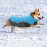 Waterproof Dog Clothing