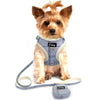 Soft Pet Dog Harnesses