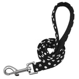 Pet Walking Dog Leash