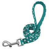 Pet Walking Dog Leash