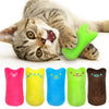 Funny Interactive Plush Cat Toy