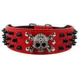 2" Wide Spiked Studded Leather