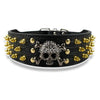 2" Wide Spiked Studded Leather