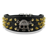 2" Wide Spiked Studded Leather