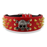 2" Wide Spiked Studded Leather