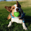 Dog Toy Pet Rubber Balls