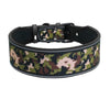 Reflective Nylon Dog Collar