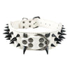 2" Wide Sharp Spiked Studded Leather