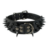 2" Wide Sharp Spiked Studded Leather