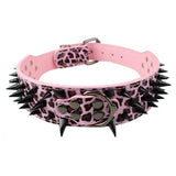 2" Wide Sharp Spiked Studded Leather