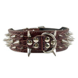 2" Wide Sharp Spiked Studded Leather