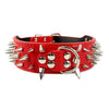 2" Wide Sharp Spiked Studded Leather