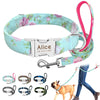 Dog Collar Custom