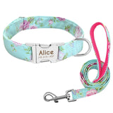 Dog Collar Custom