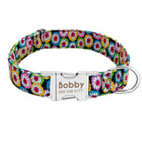 Dog Collar Custom