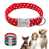 Personalized Nylon Puppy Dog Collar